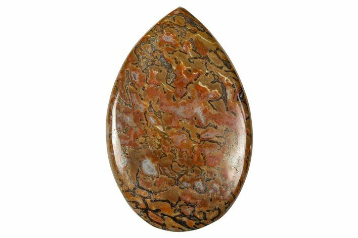 Polished Dinosaur Bone (Gembone) Cabochon - Colorado #370759